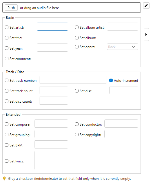 Audio Tag Setter options